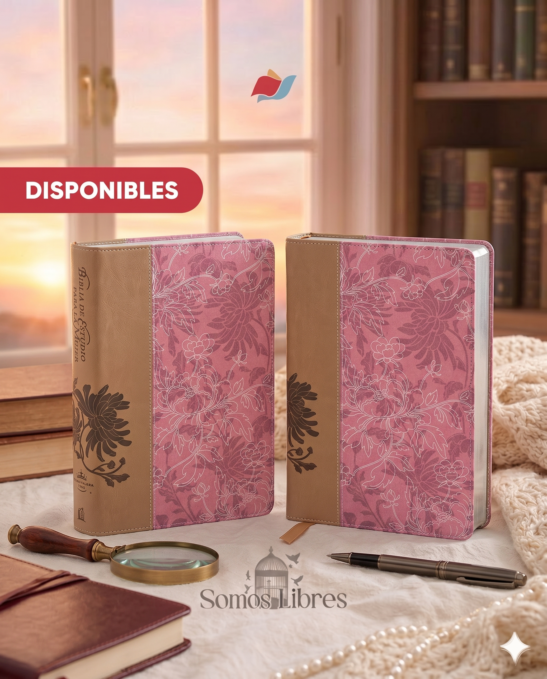 Biblia de Estudio para la Mujer