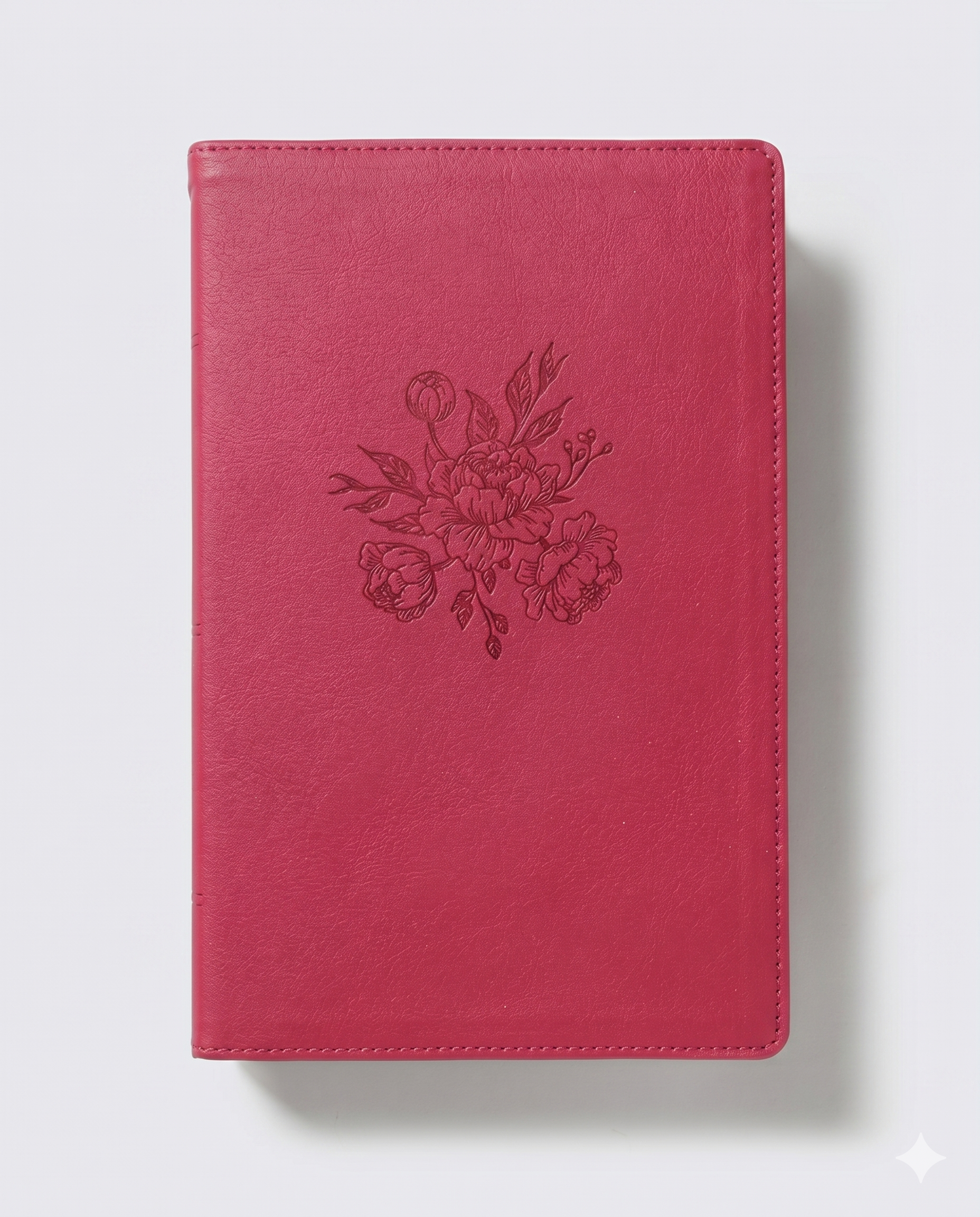 Biblia Mamá Ocupada RVR