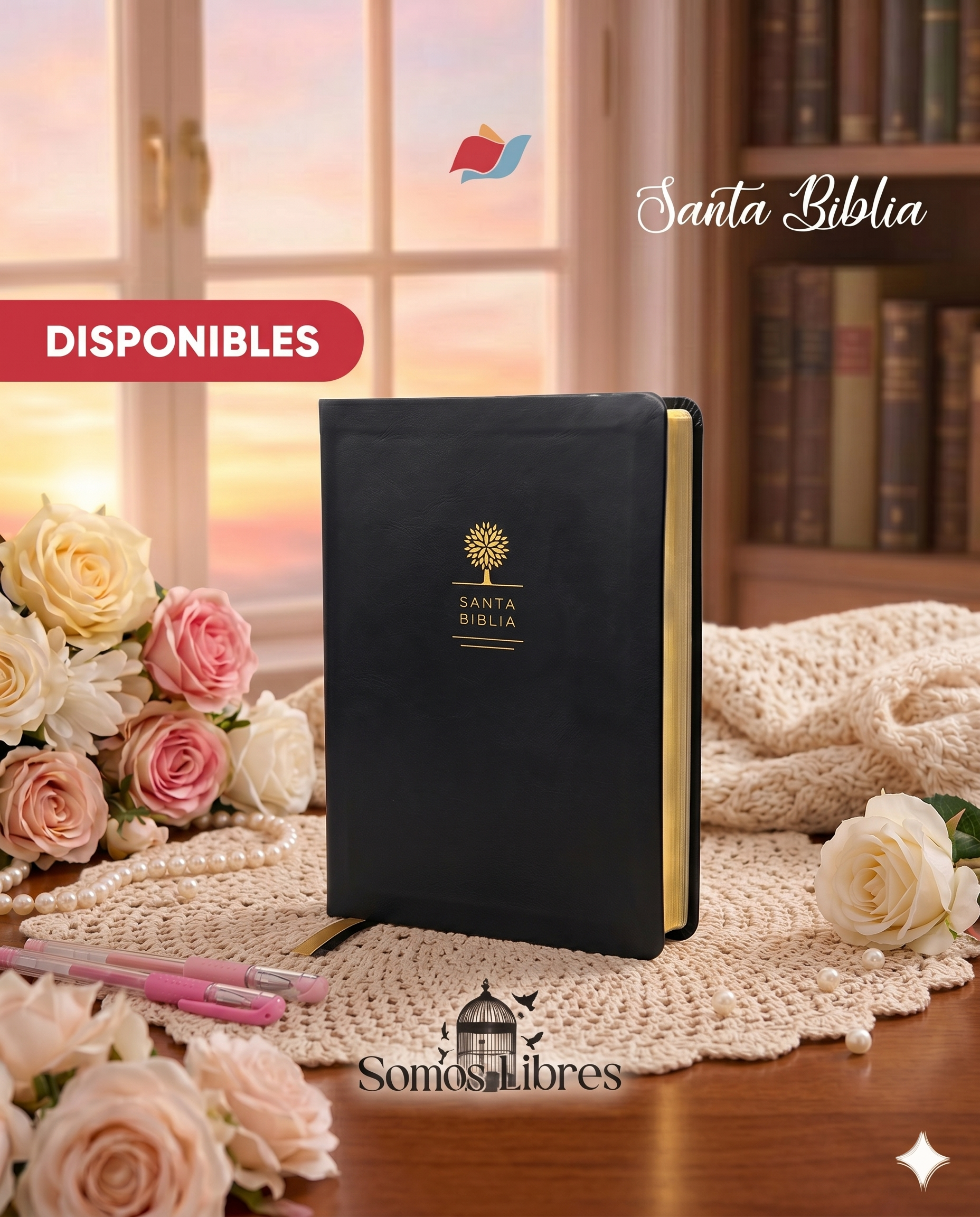 Biblia RVR Bolsillo Negra